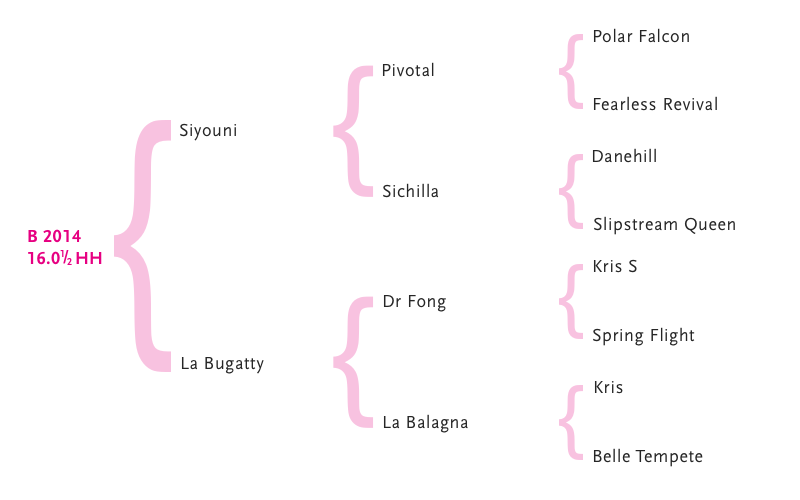 Le_Brivido-pedigree_V4