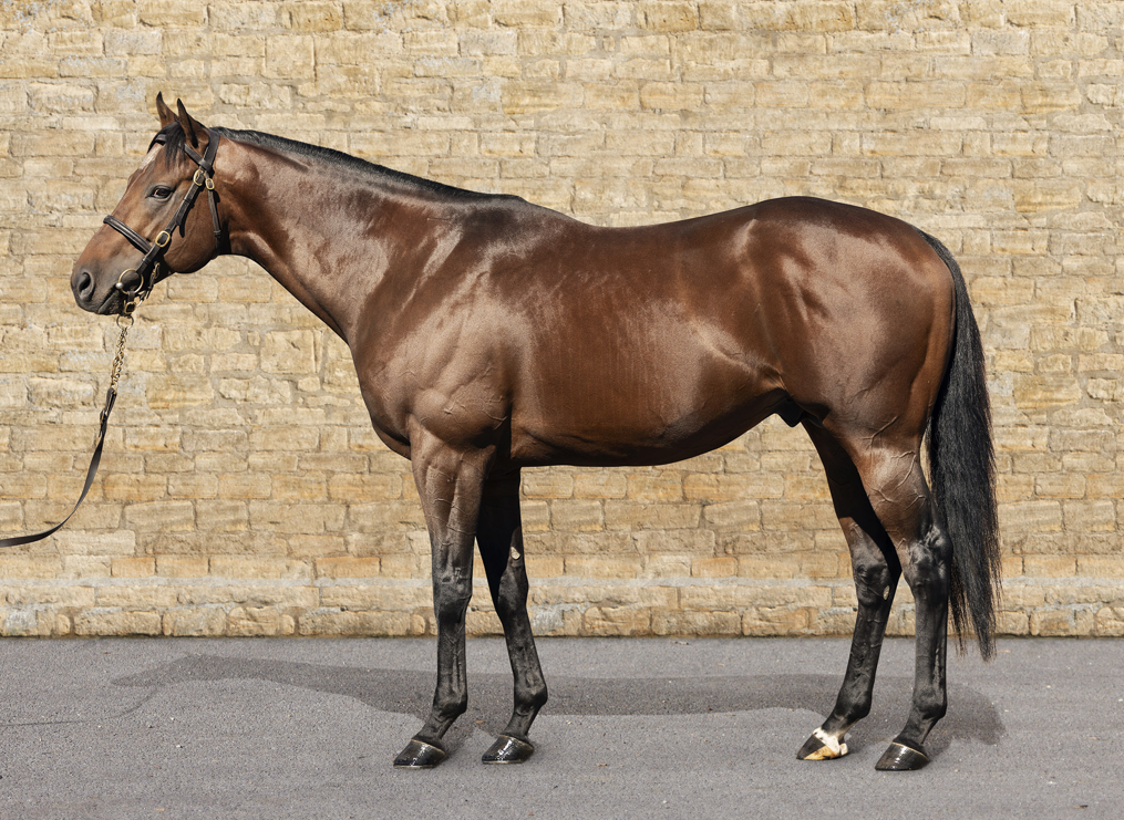 Caturra conformation-250922_3_Zuzann Lupa-RT_98